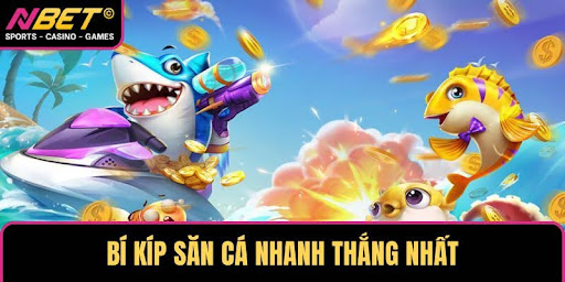 Bí kíp săn cá nhanh thắng nhất