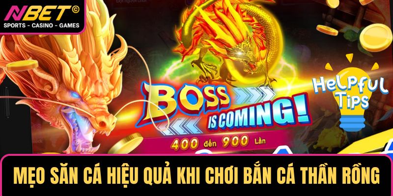 Mẹo săn cá hiệu quả khi chơi bắn cá thần rồng