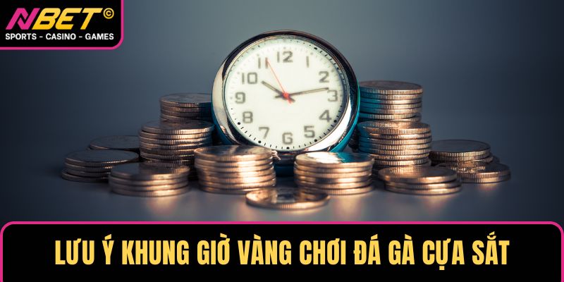 Lưu ý khung giờ vàng chơi đá gà cựa sắt