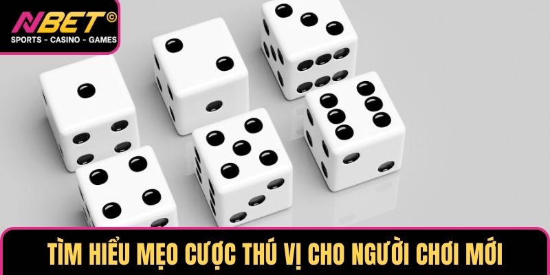 Tìm hiểu mẹo cược thú vị cho người chơi mới