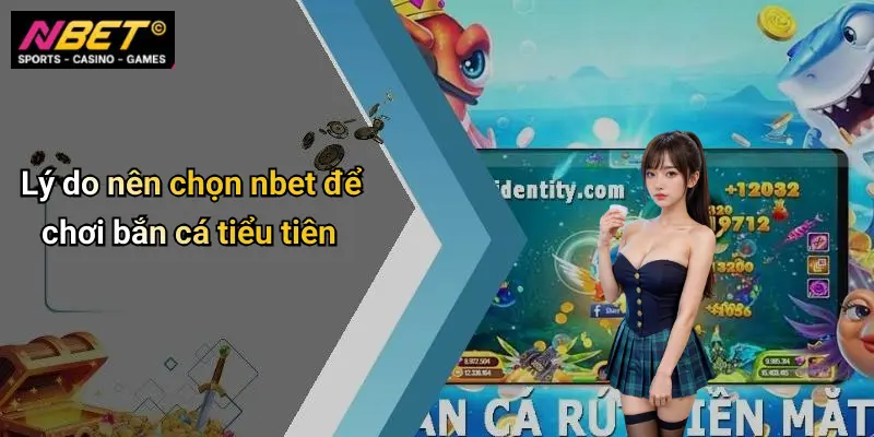 Lý do nên chọn nbet để chơi bắn cá tiểu tiên