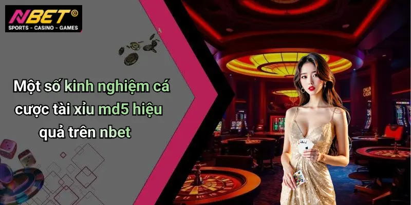 Một số kinh nghiệm cá cược tài xỉu md5 hiệu quả trên nbet