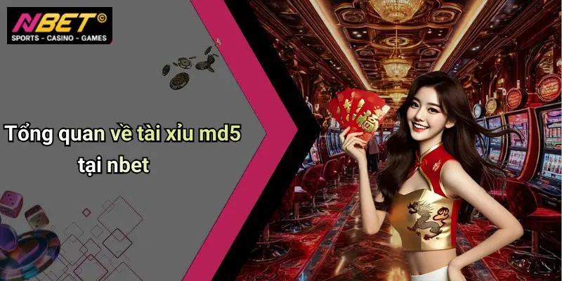 Tổng quan về tài xỉu md5 tại nbet